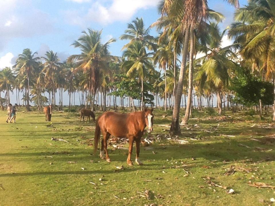 Villa La Caleta ลาส กาเลราส ห้อง รูปภาพ